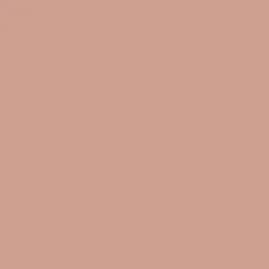 Carezza 40 Pantyhose