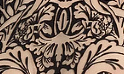 Morris Bodystocking