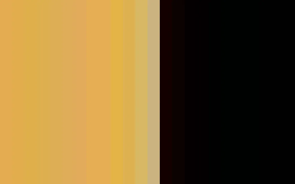 Seduction Couture Bicolore Stocking