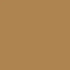 Silk 40 Pantyhose