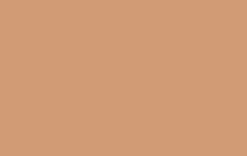 Simply Shine 15 Pantyhose